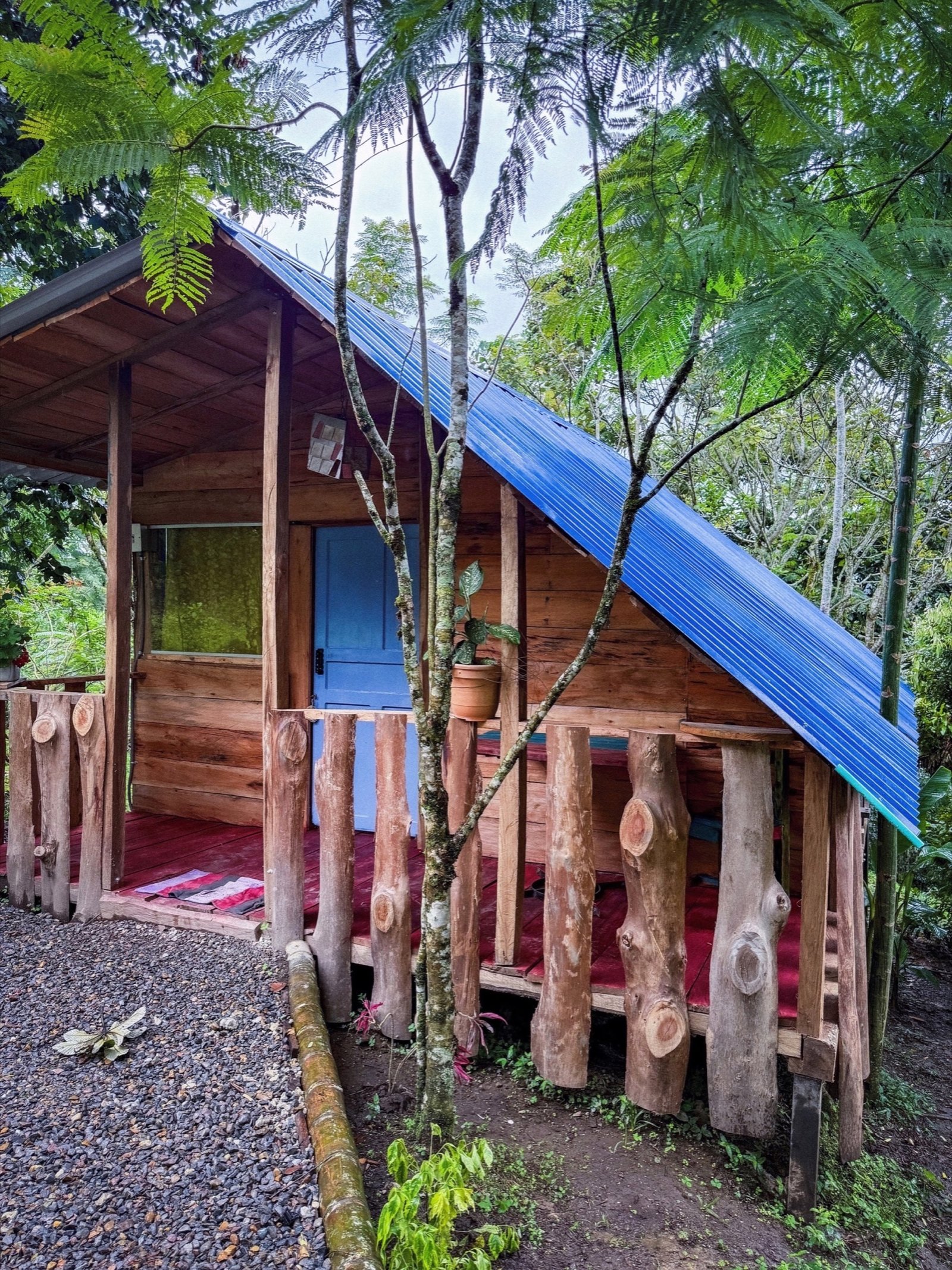 Cabaña Pescaditos - Paisaje