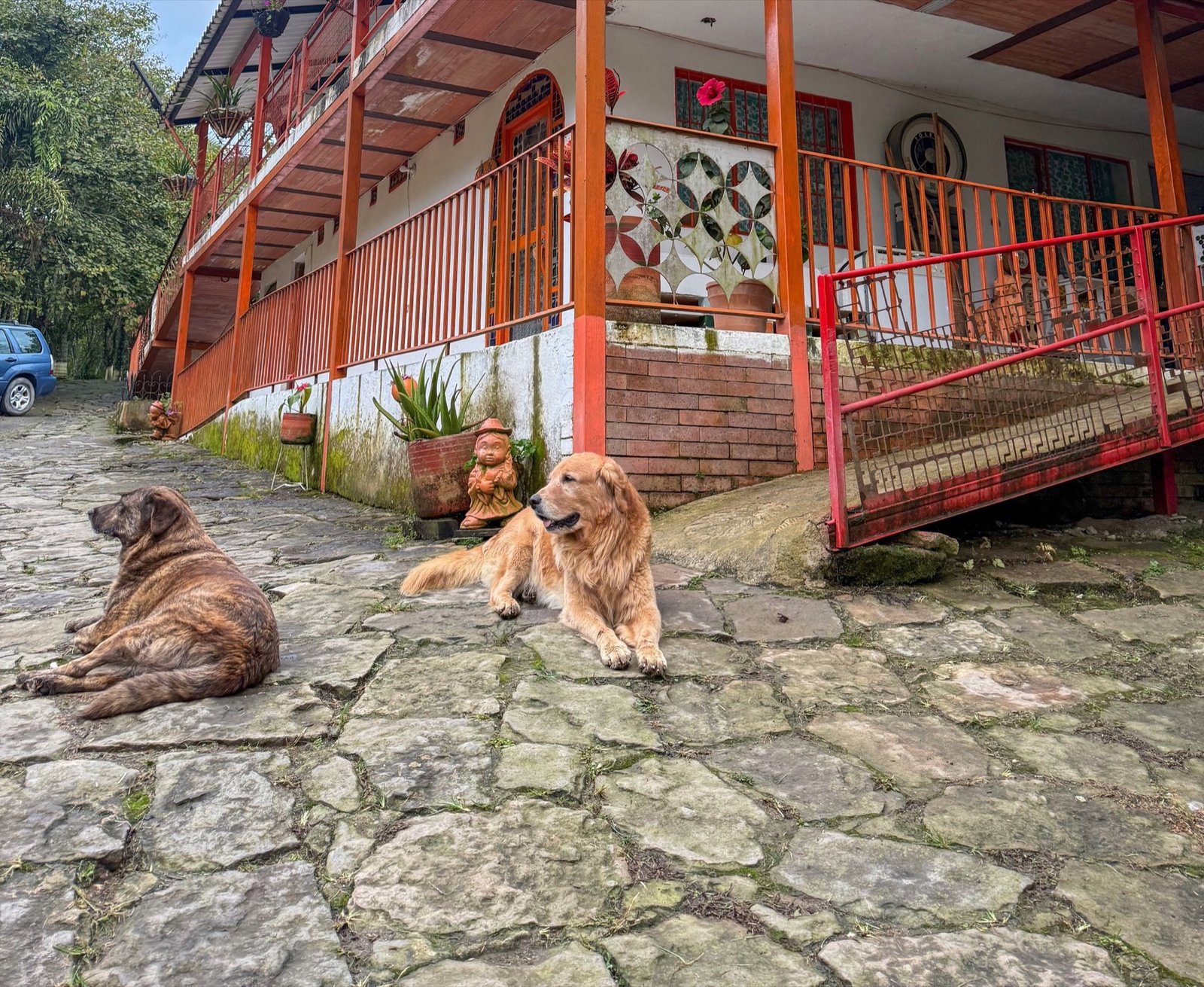 Mascotas en Jardín del Agua