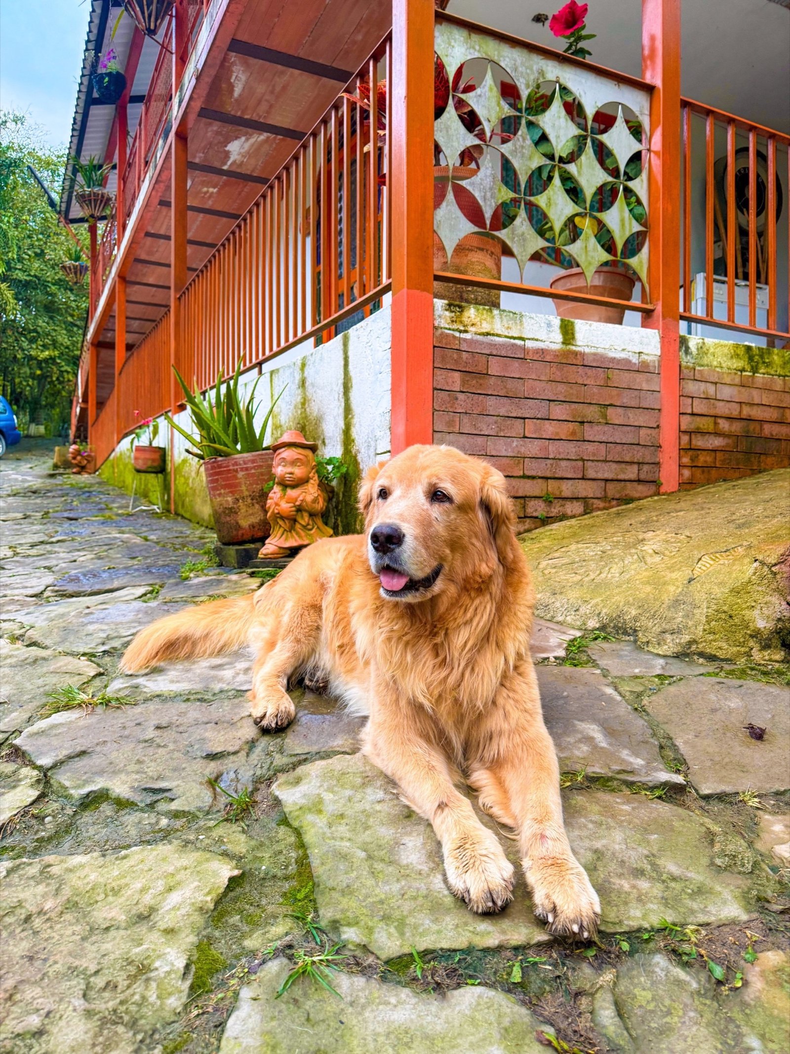 Mascotas en Jardín del Agua 2