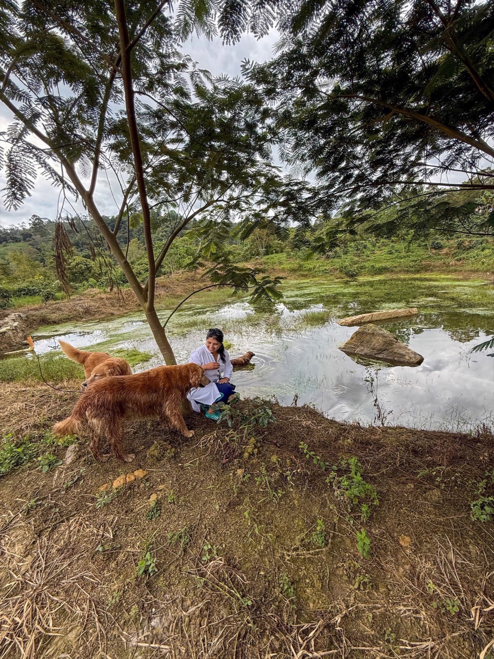 Mascotas en Jardín del Agua 5