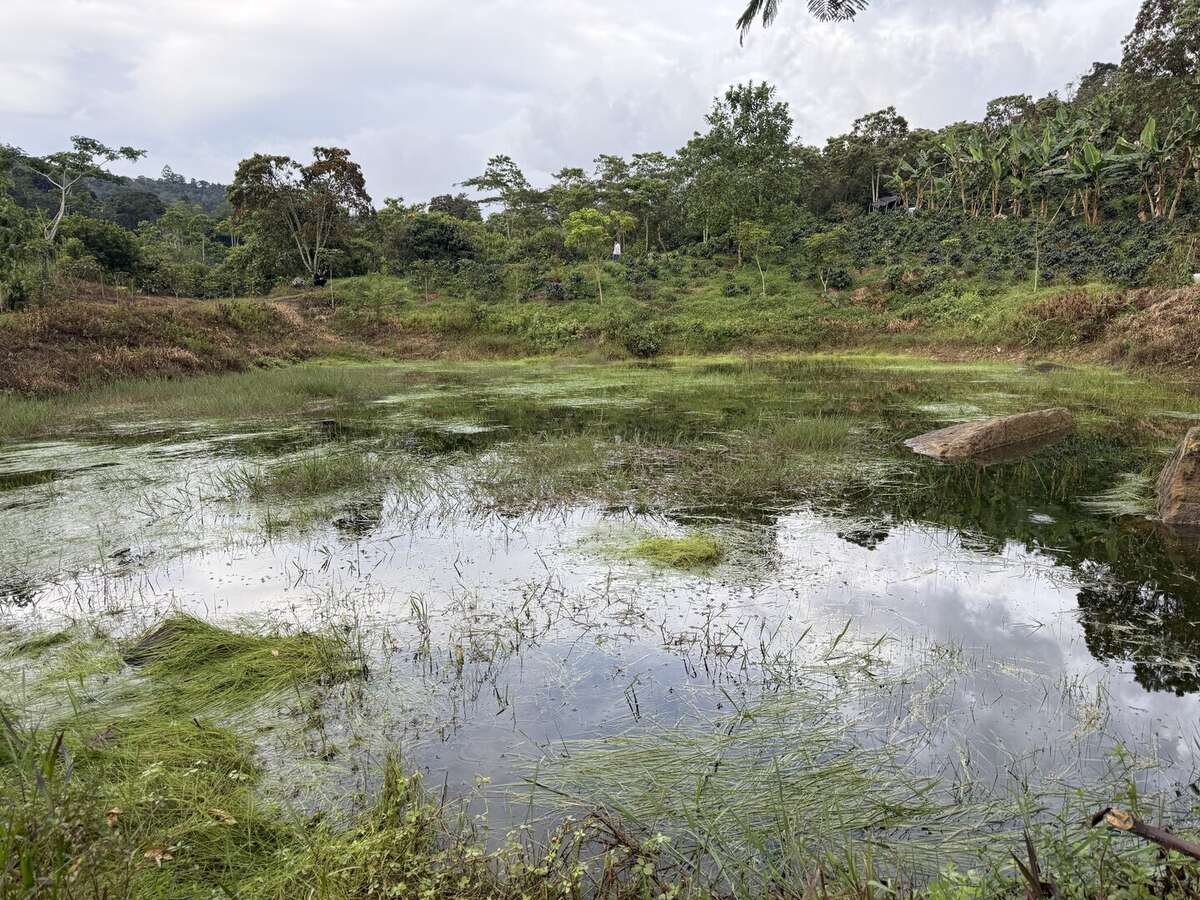 Galería Jardín del Agua 1