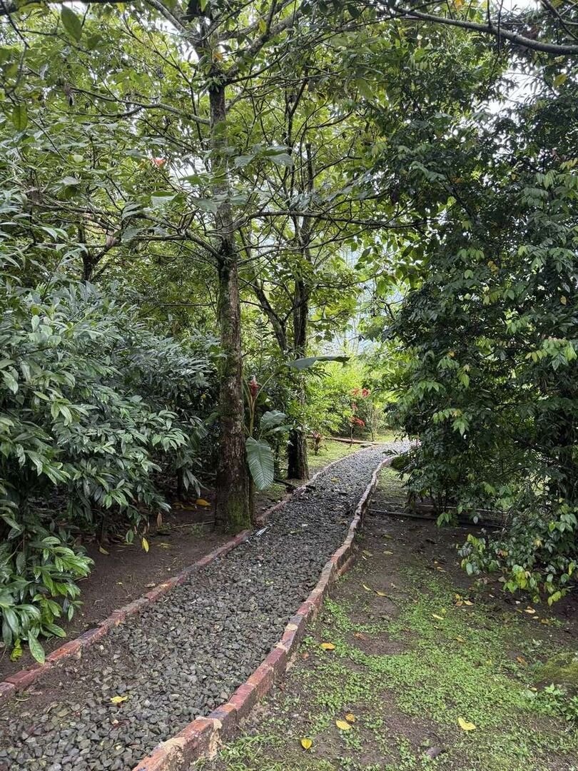 Galería Jardín del Agua 4