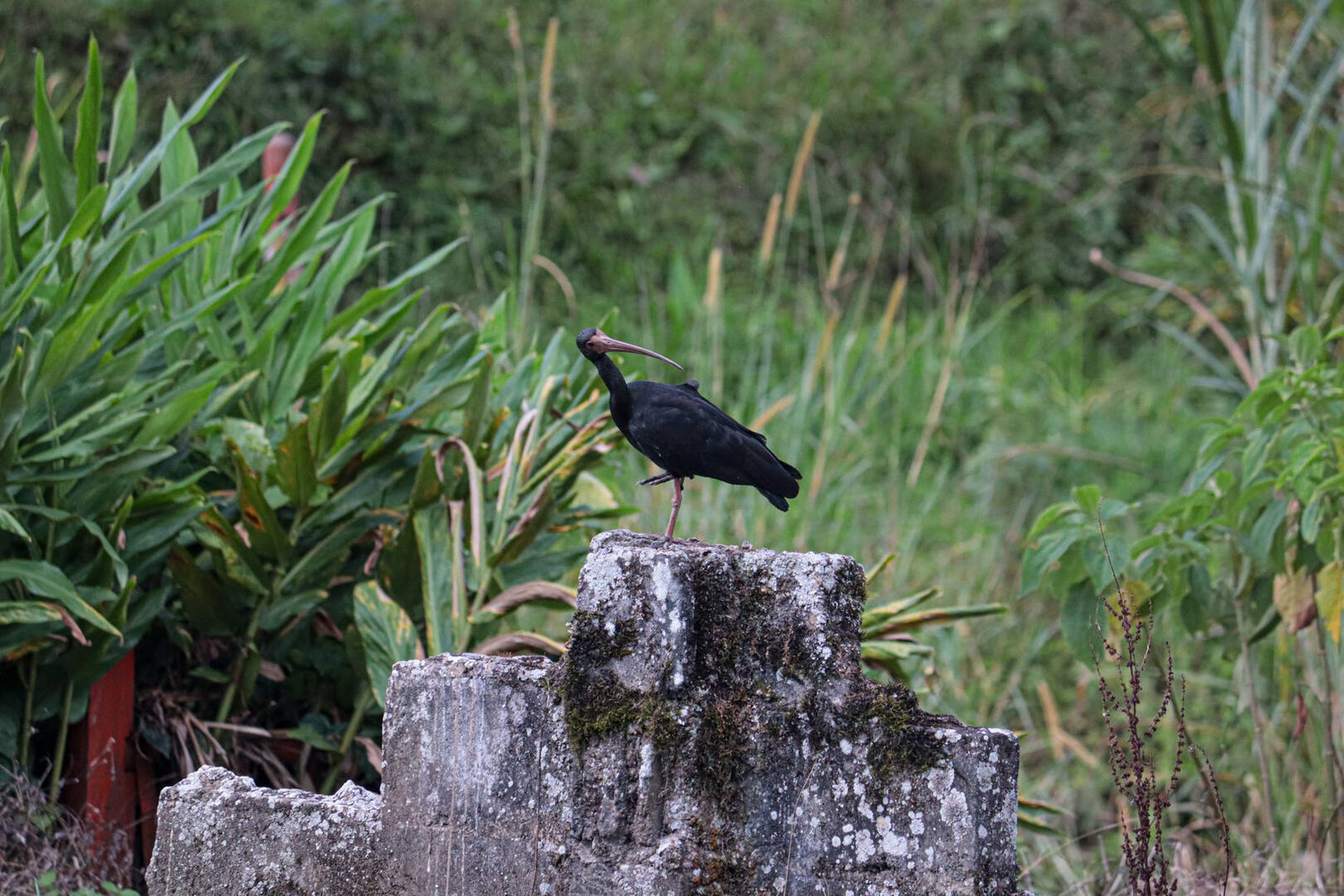 Galería Jardín del Agua 13