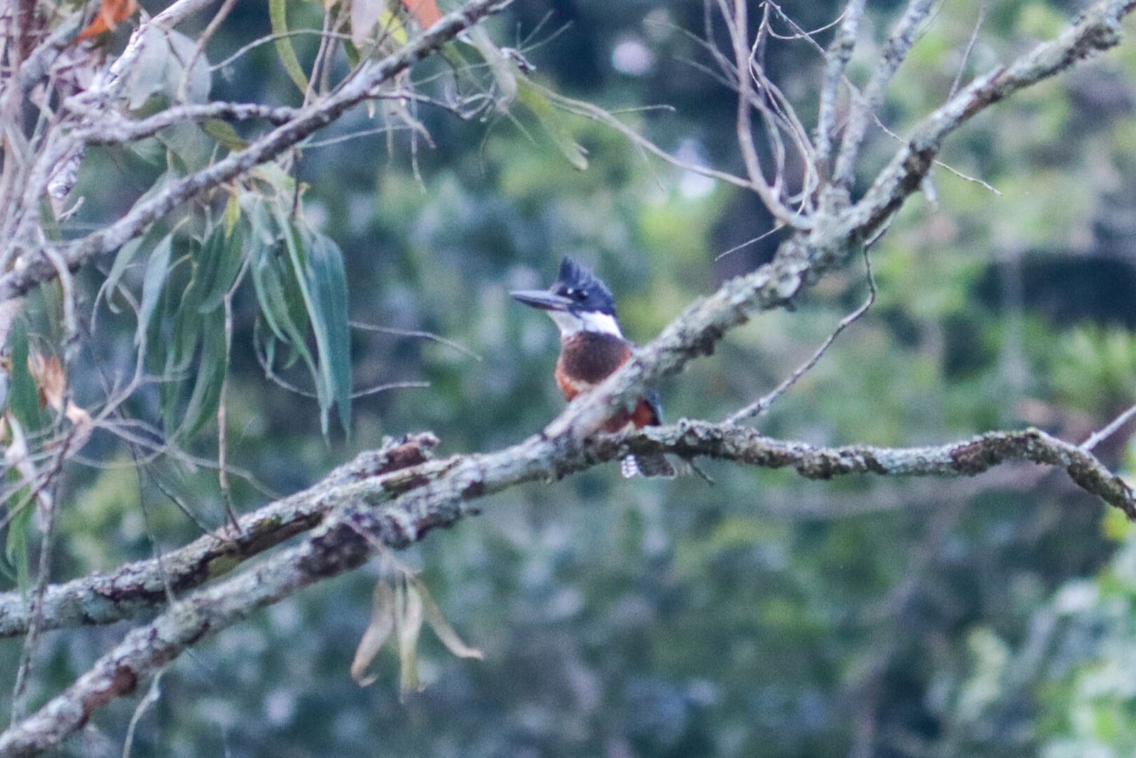Galería Jardín del Agua 14
