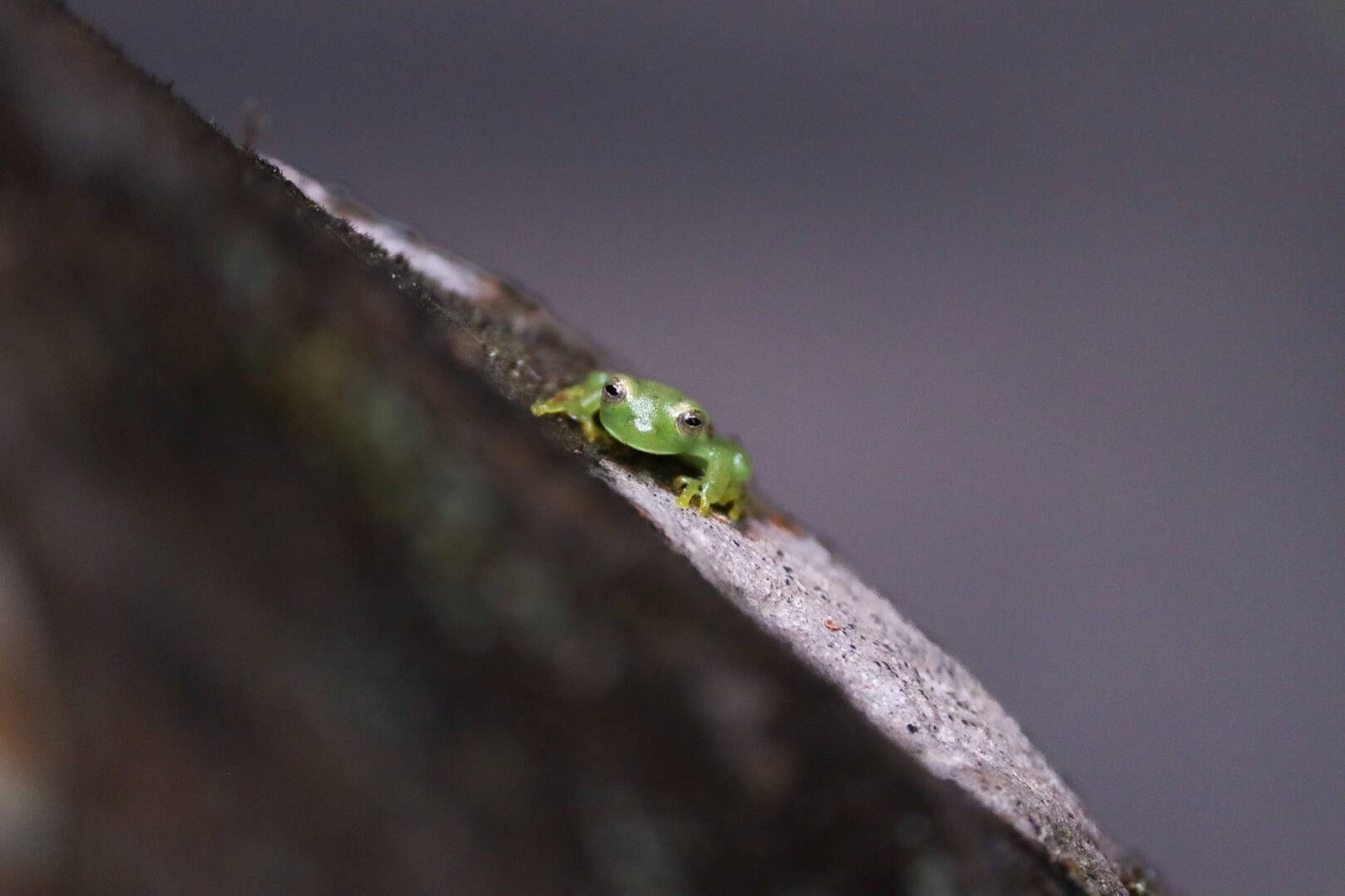 Galería Jardín del Agua 16