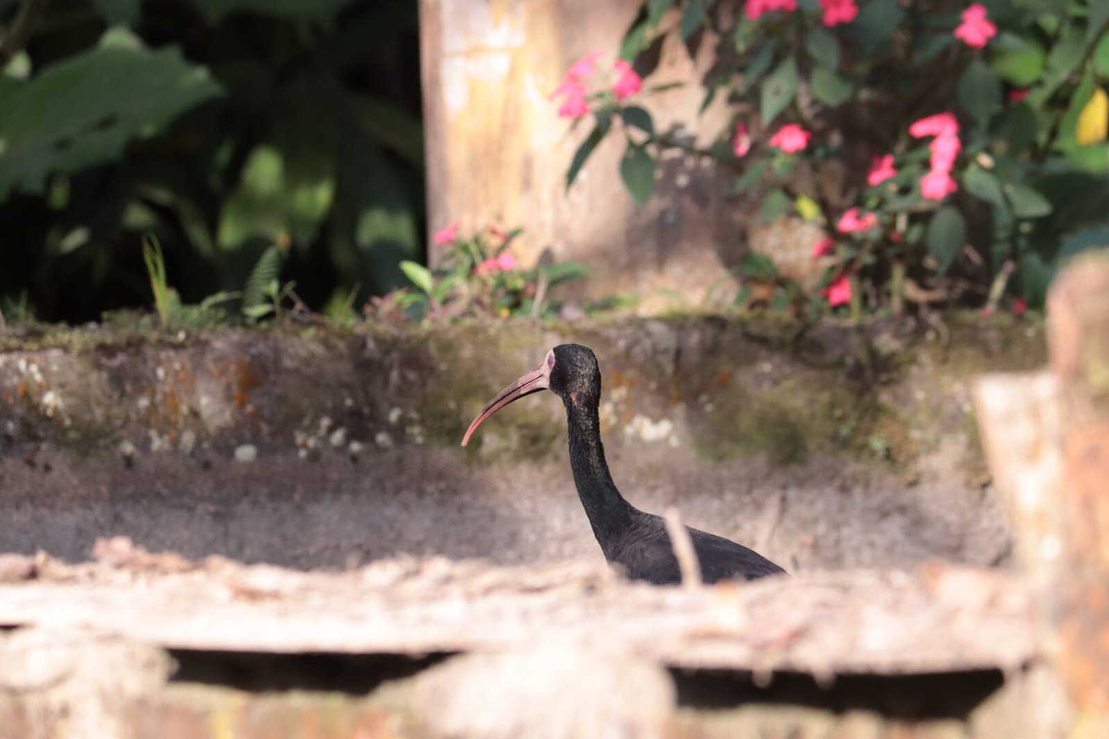 Galería Jardín del Agua 20