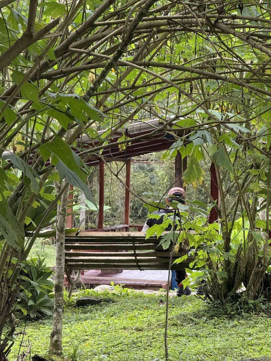 Galería Jardín del Agua 21