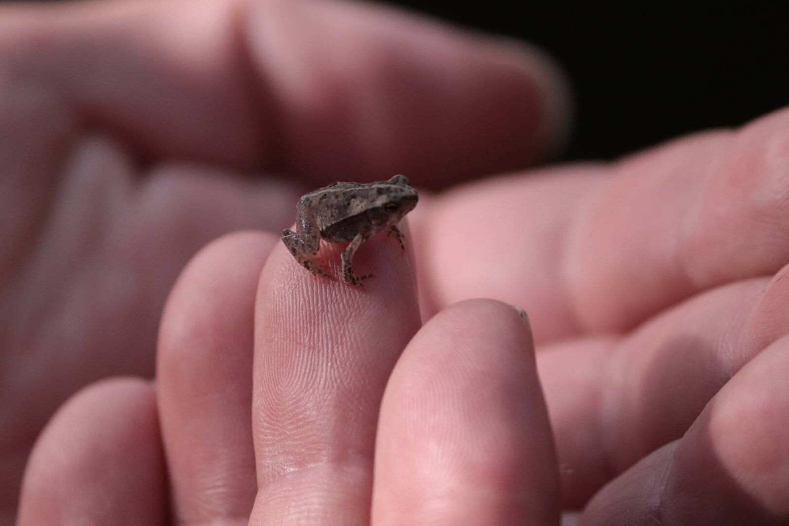 Galería Jardín del Agua 22