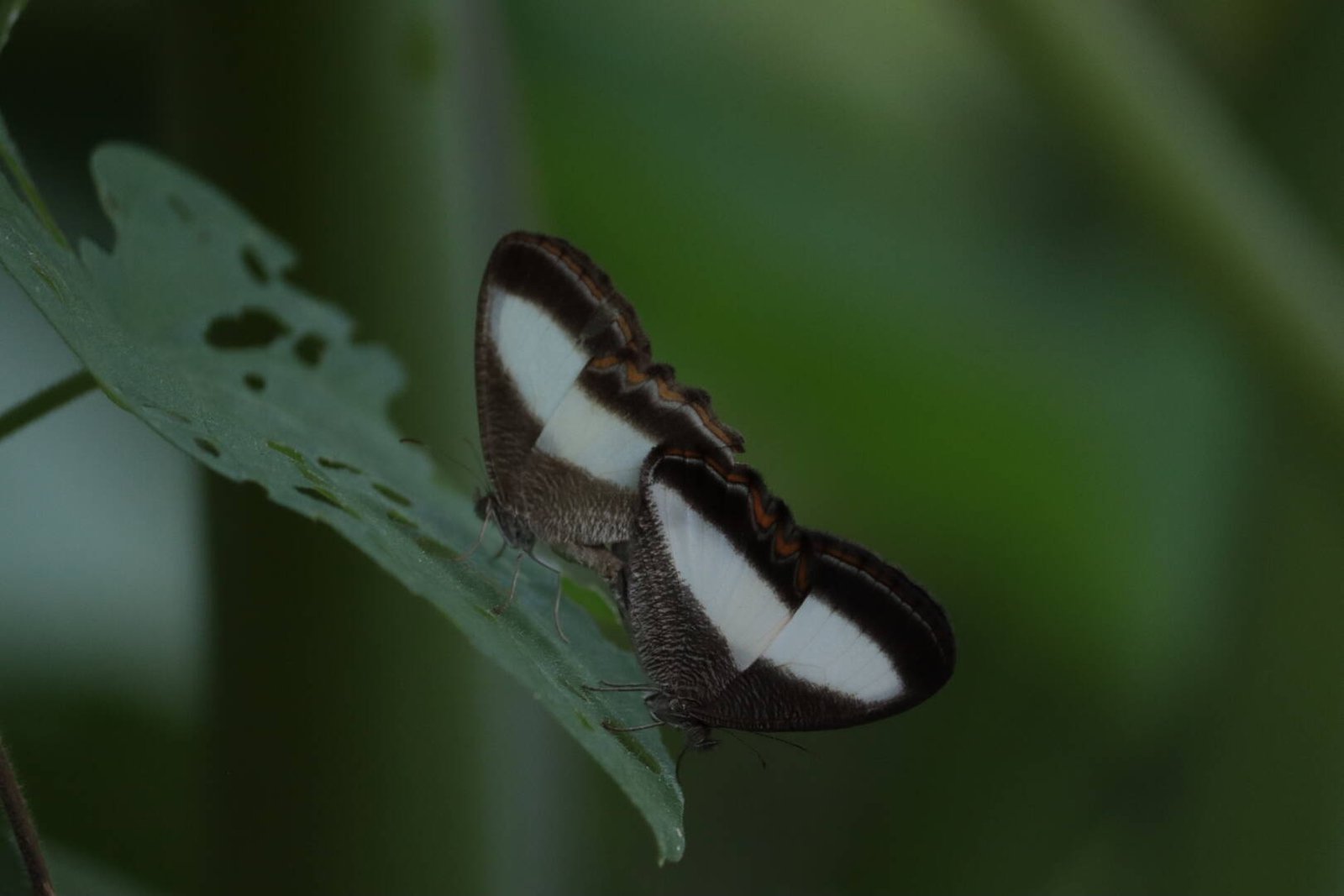 Galería Jardín del Agua 23