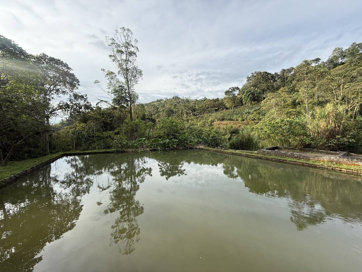 Galería Jardín del Agua 25