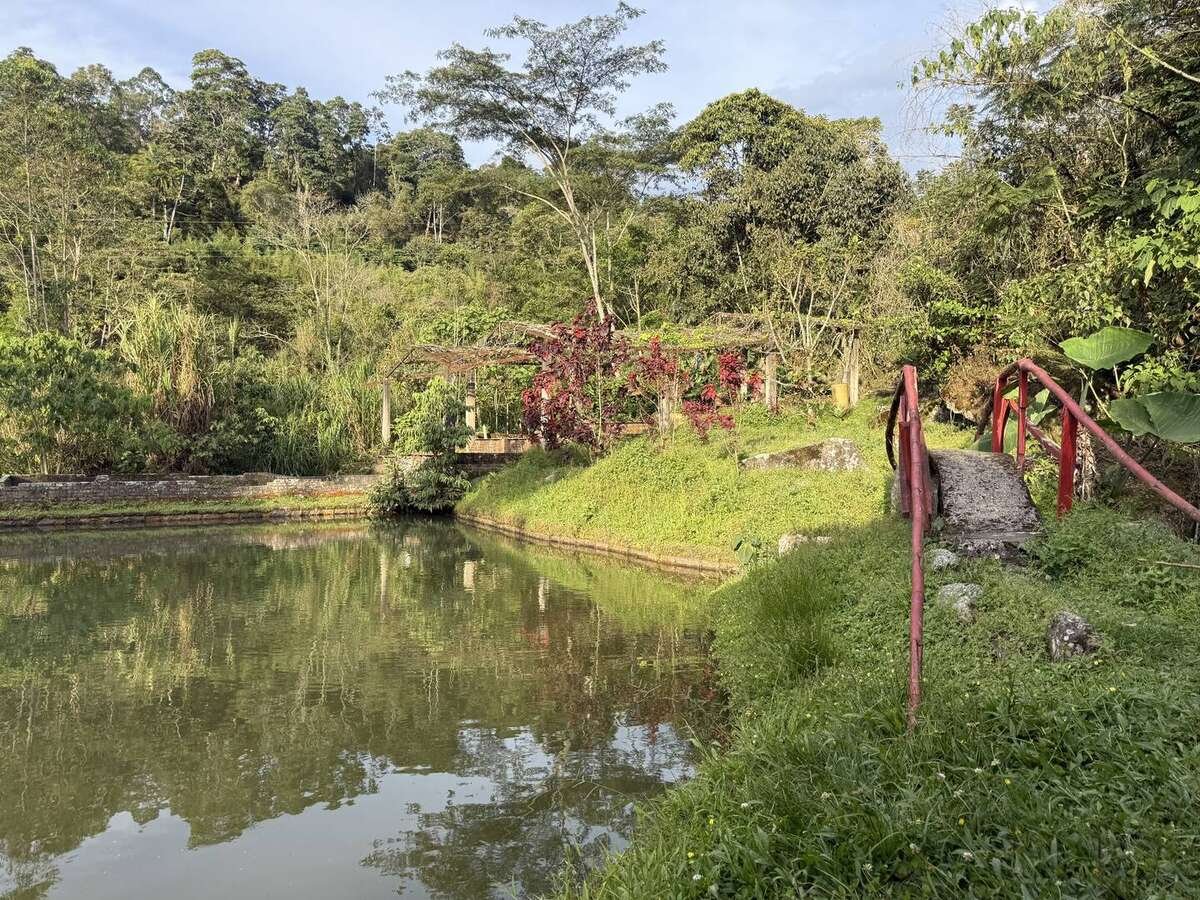 Galería Jardín del Agua 26