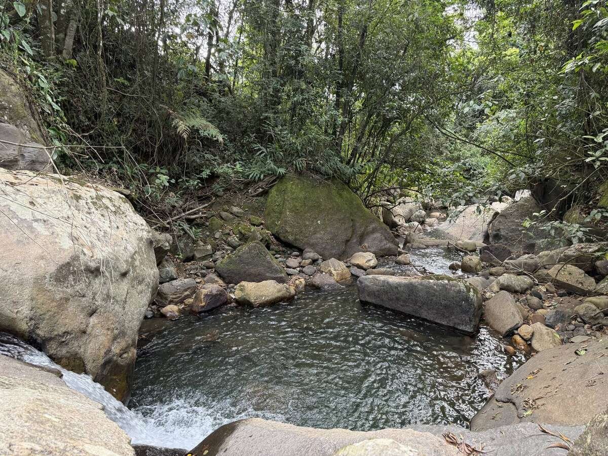 Galería Jardín del Agua 27