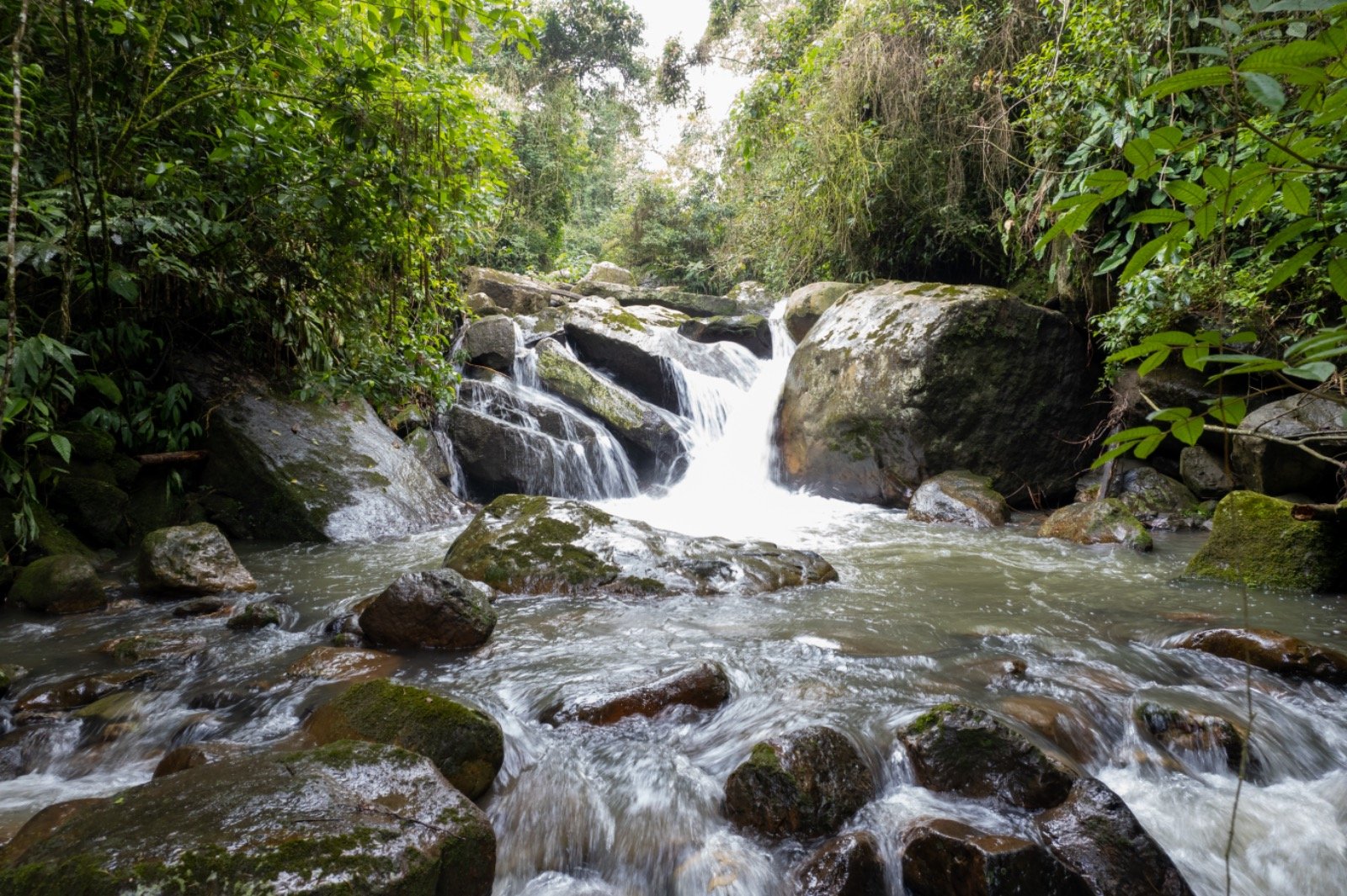 Galería Jardín del Agua 28
