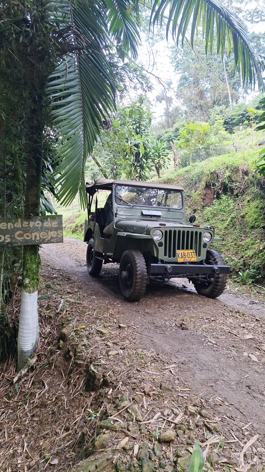 Galería Jardín del Agua 32