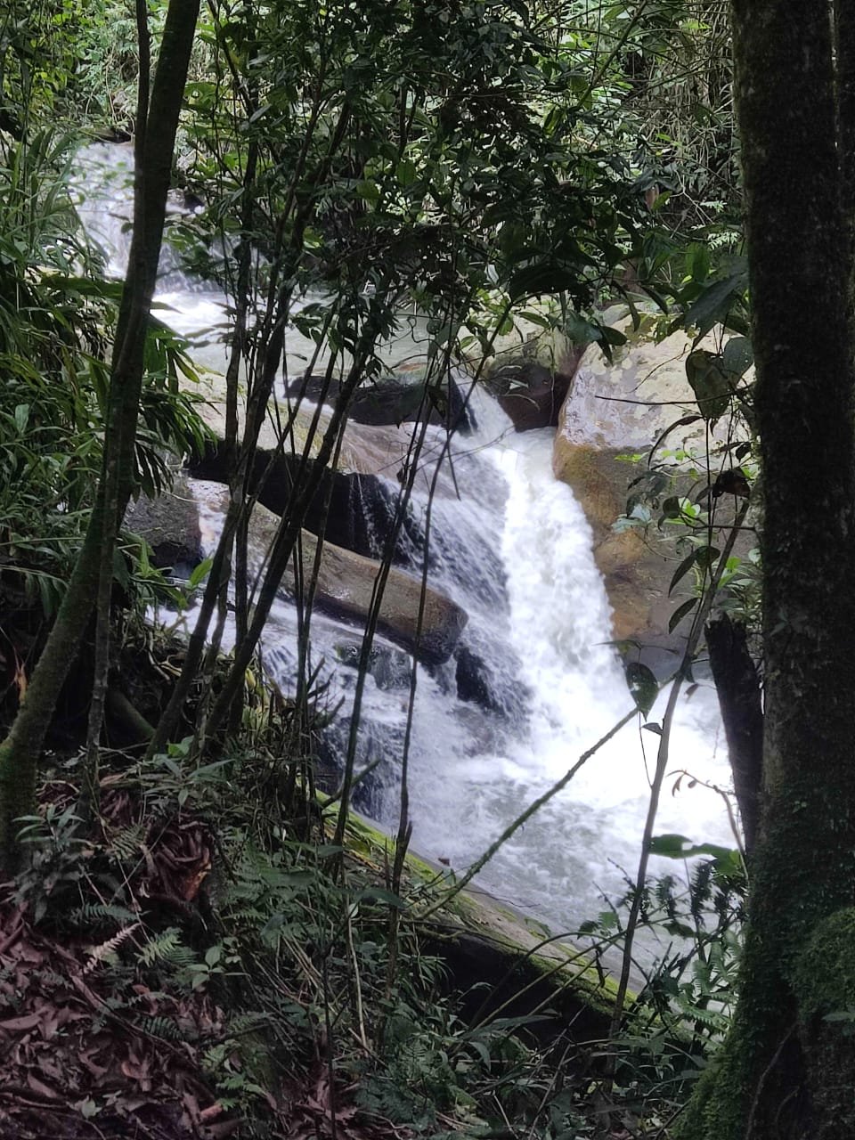 Galería Jardín del Agua 29