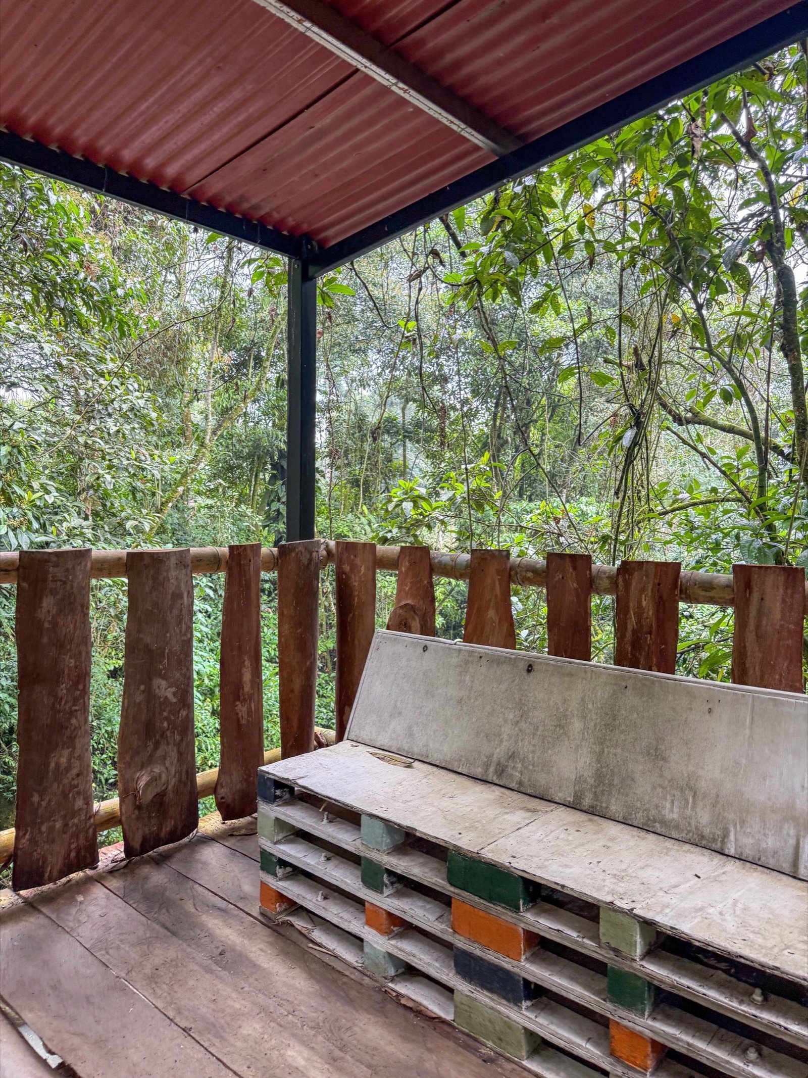 Galería Jardín del Agua 35