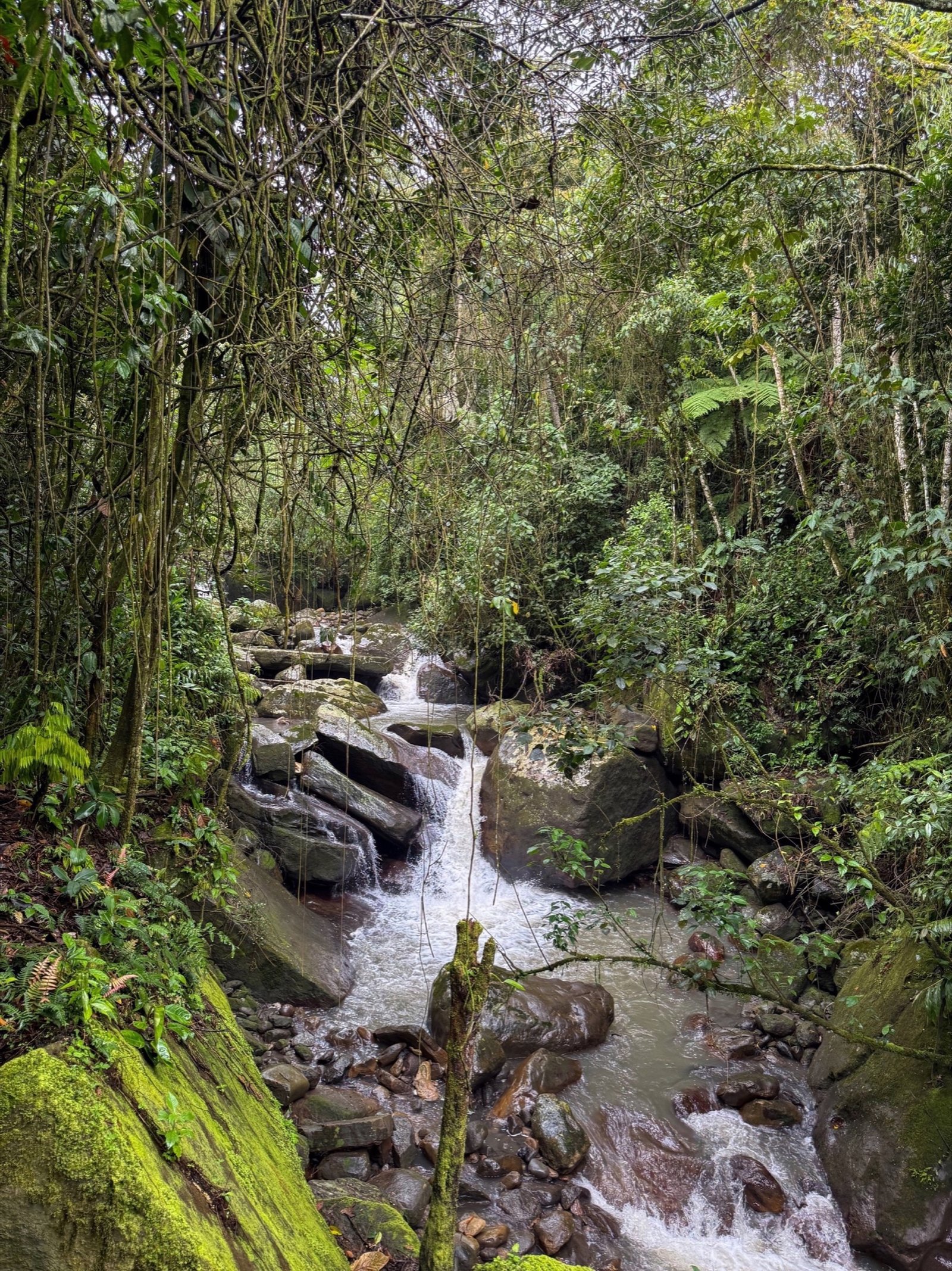 Galería Jardín del Agua 36