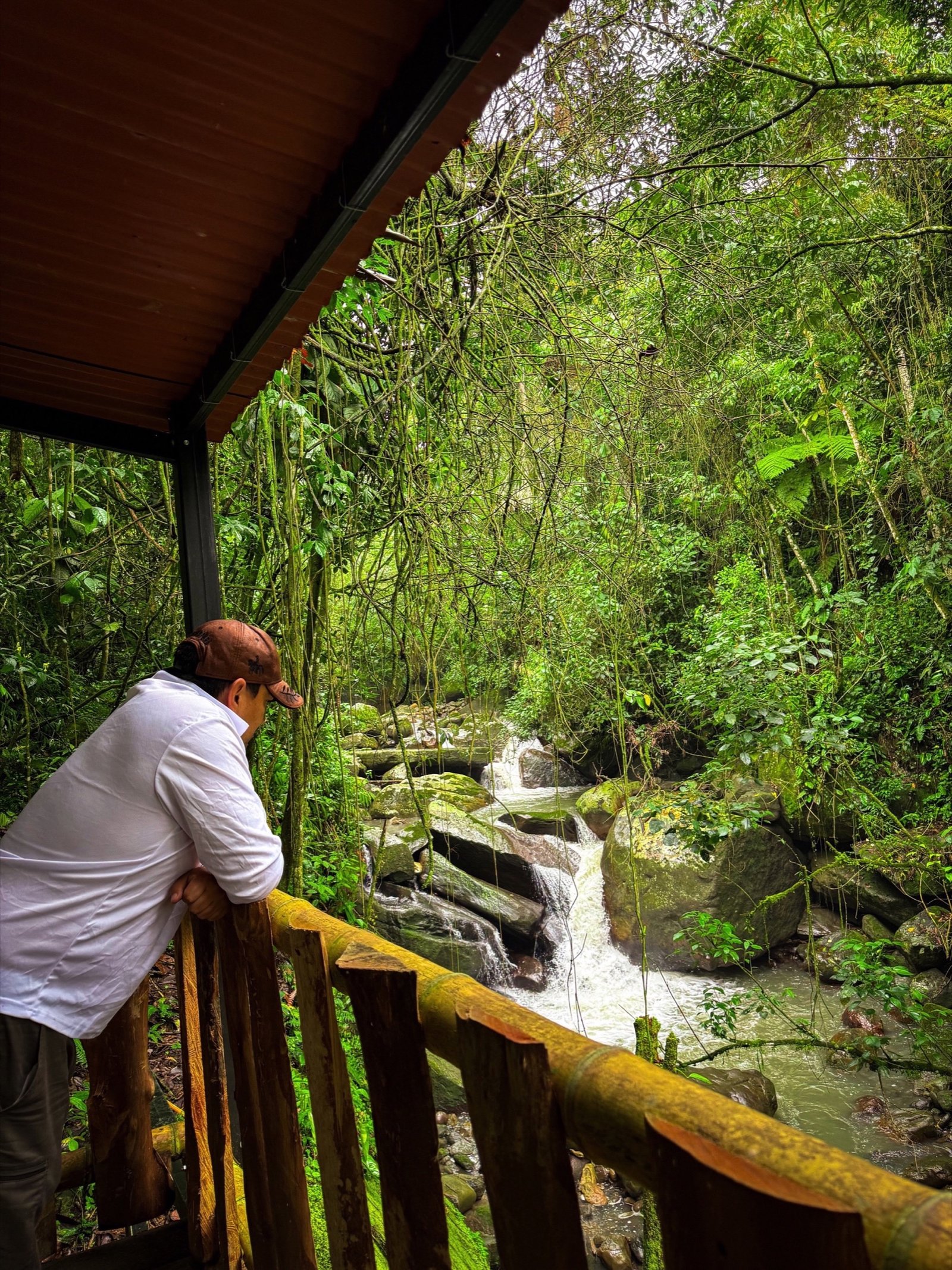Galería Jardín del Agua 37