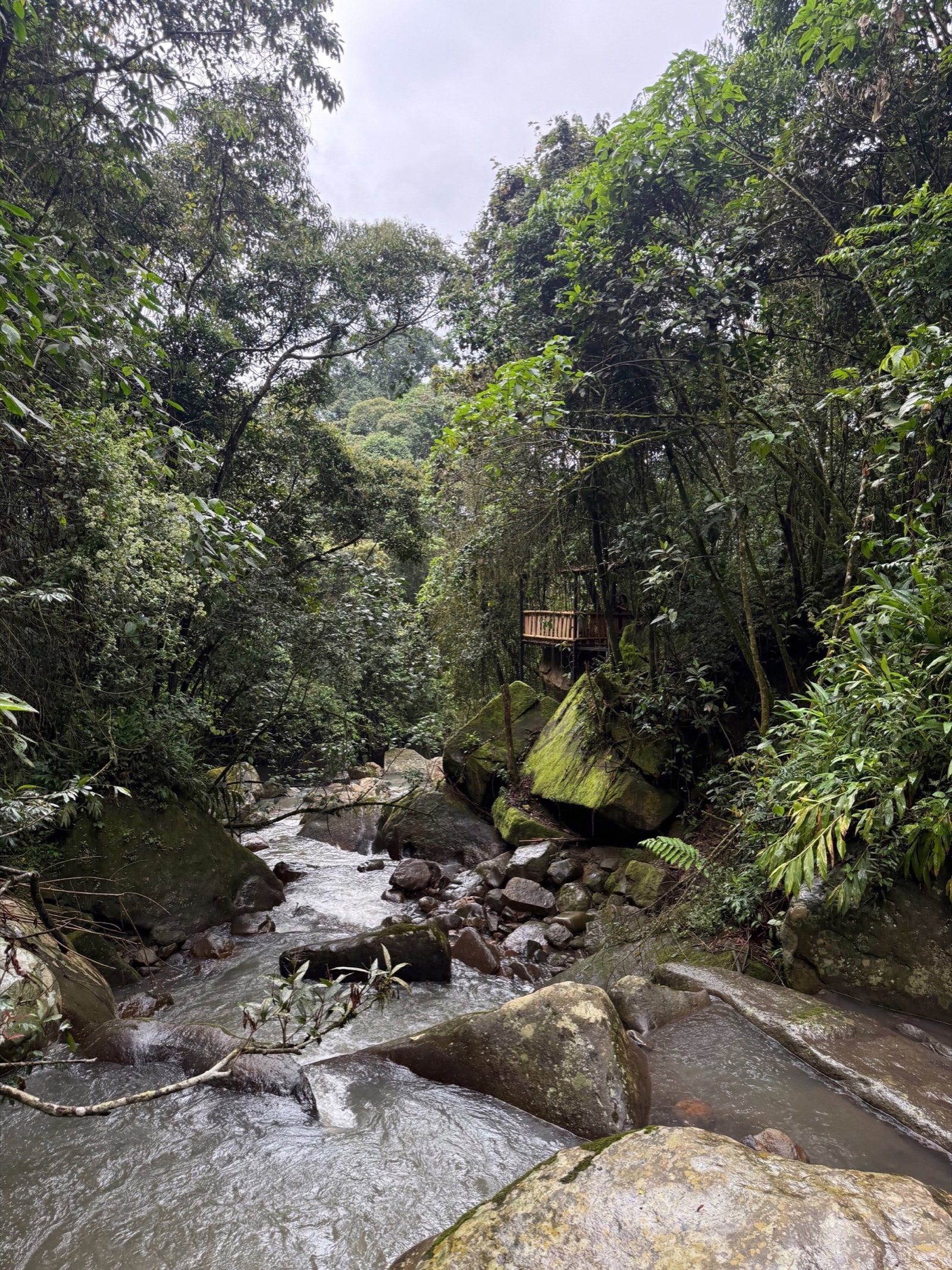 Galería Jardín del Agua 41