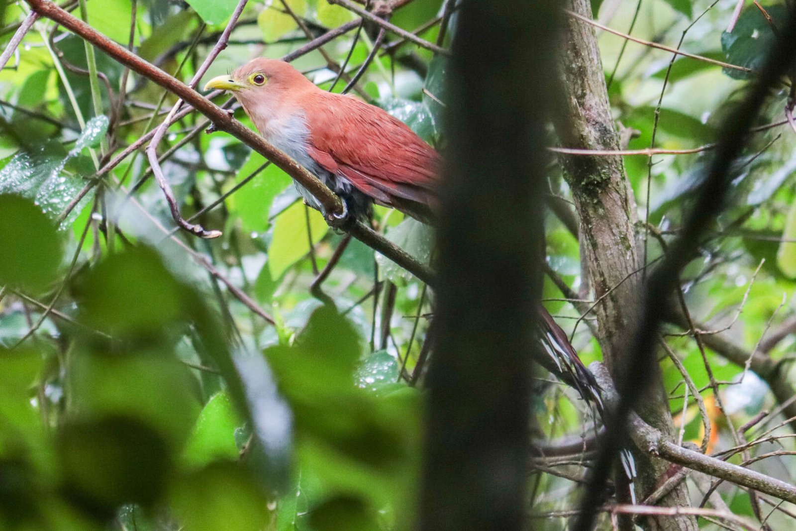 Galería Jardín del Agua 15