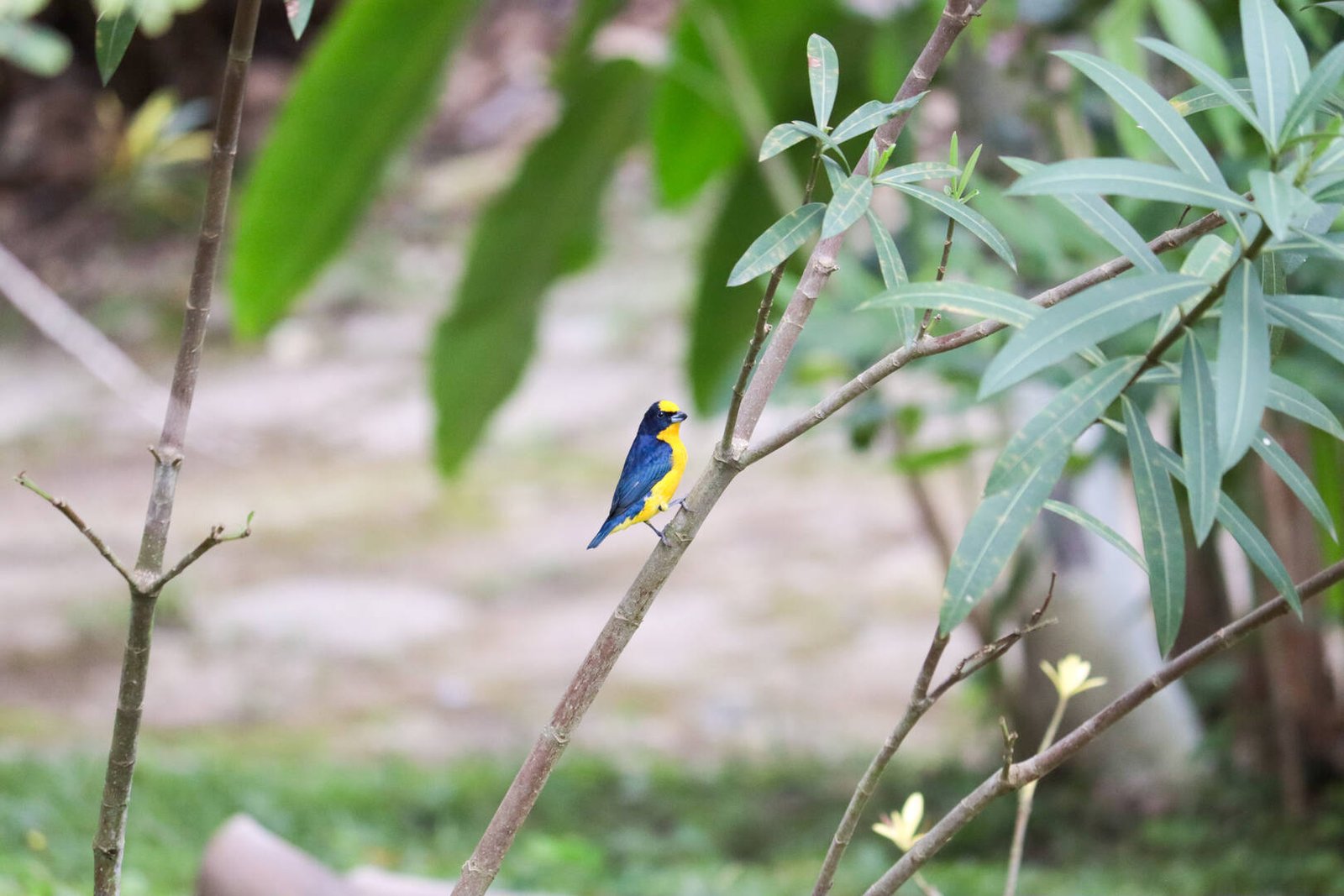 Galería Jardín del Agua 17
