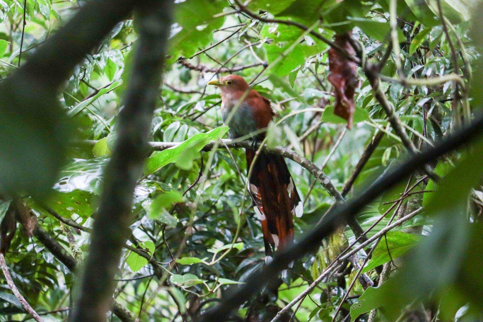 Galería Jardín del Agua 18