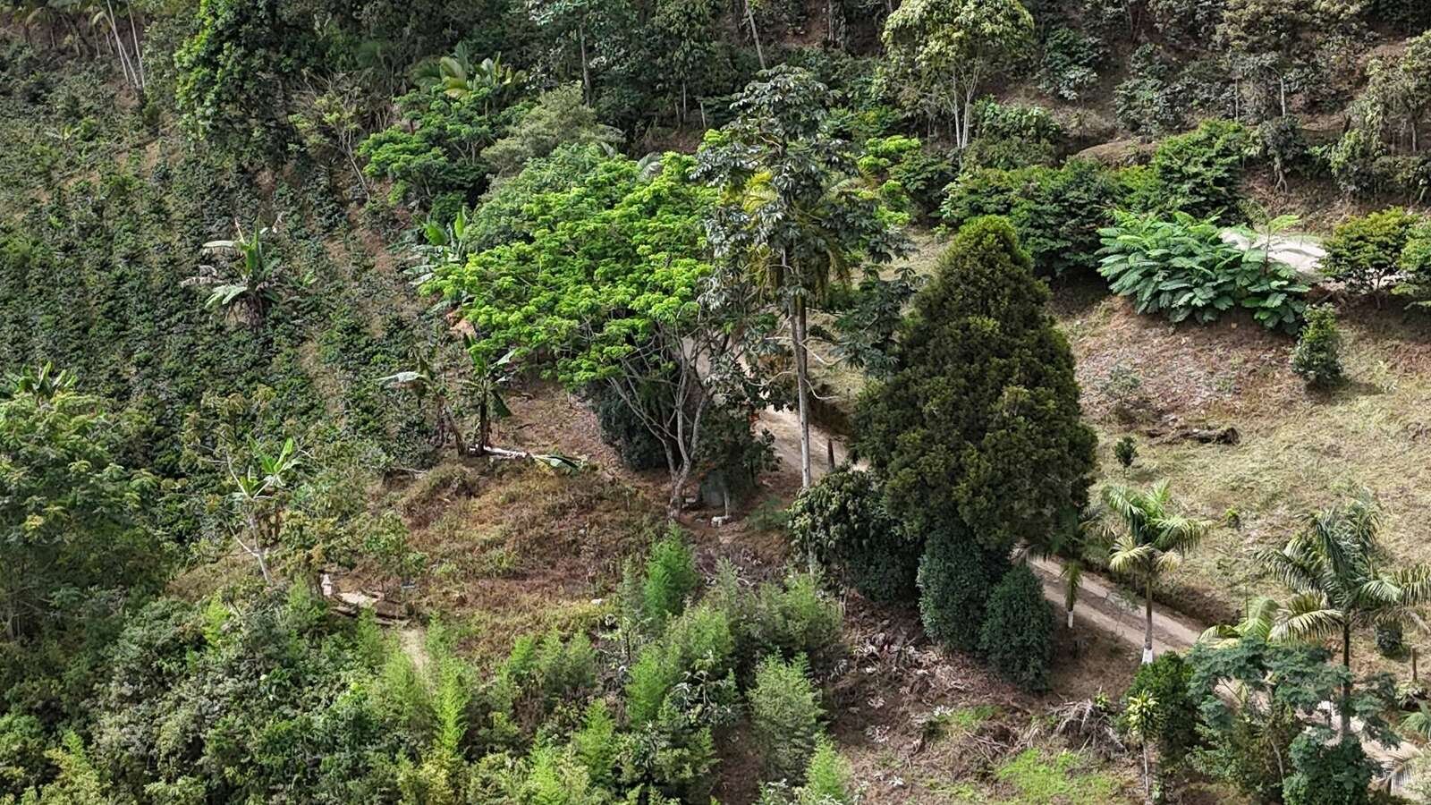 Galería Jardín del Agua 24