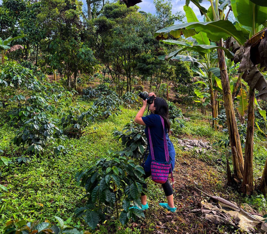 Pasadía todo incluido - Jardín del Agua