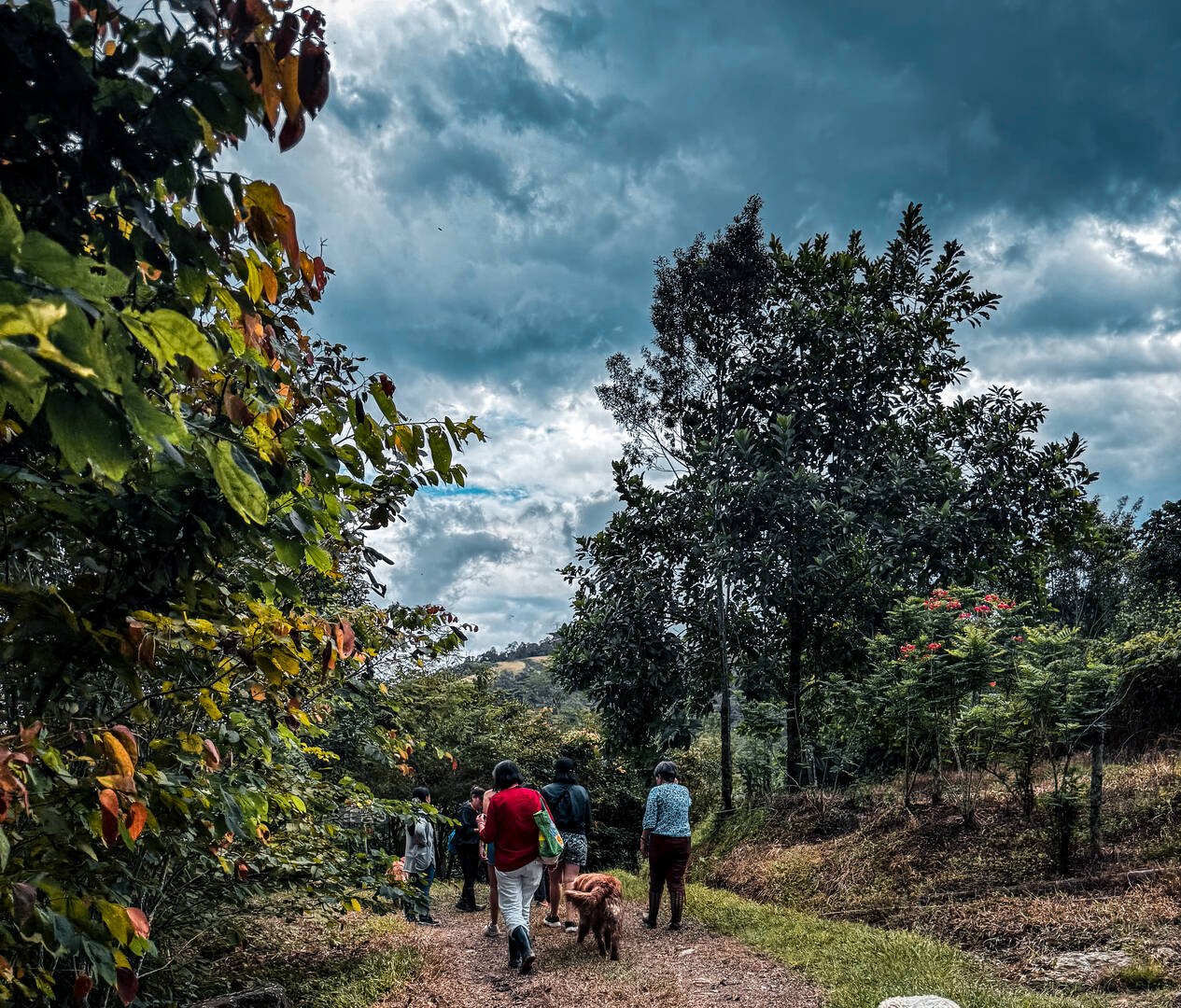 Pasadía Todo Incluido