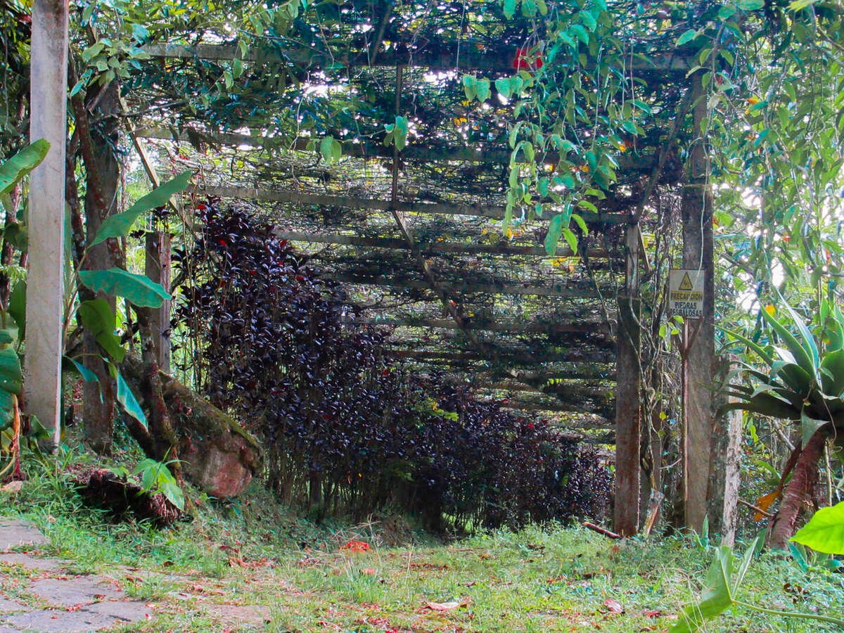 Pasadía Todo Incluido