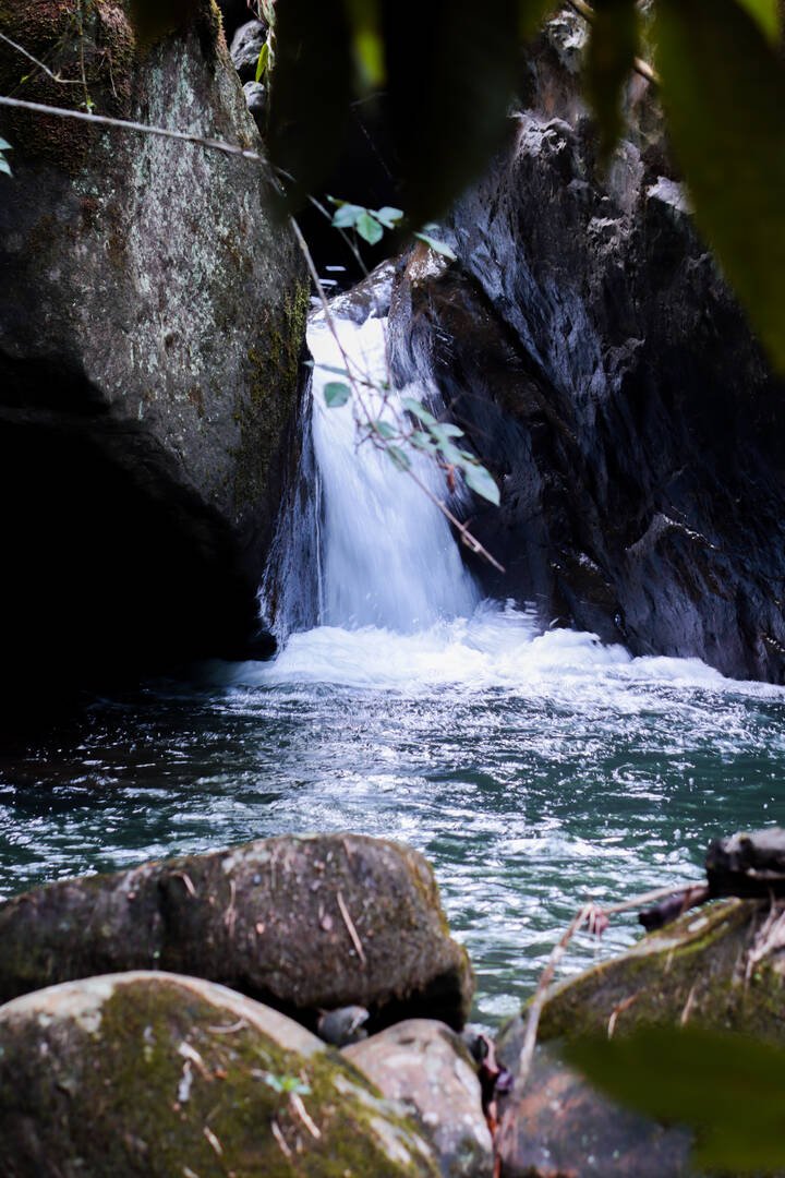Pasadía Todo Incluido